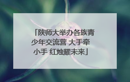 陕师大举办各族青少年交流营 大手牵小手 红烛耀未来