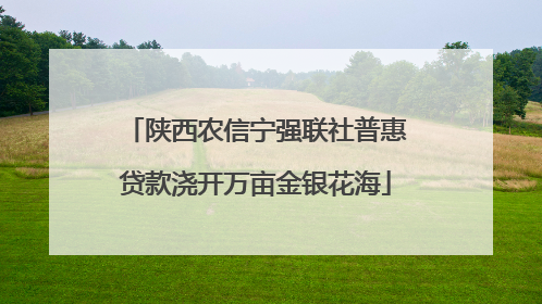 陕西农信宁强联社普惠贷款浇开万亩金银花海
