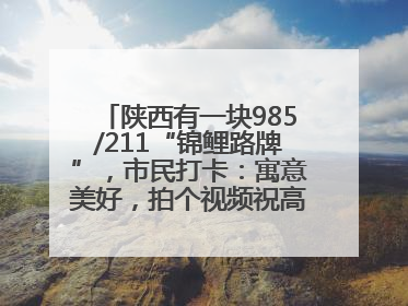 陕西有一块985/211“锦鲤路牌”，市民打卡：寓意美好，拍个视频祝高考生金榜题名
