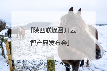 陕西联通召开云智产品发布会
