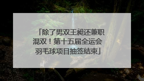 除了男双王昶还兼职混双！第十五届全运会羽毛球项目抽签结束
