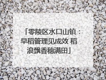 零陵区水口山镇：早稻管理见成效 稻浪飘香穗满田
