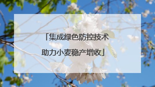 集成绿色防控技术助力小麦稳产增收