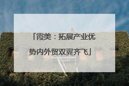霞美：拓展产业优势内外贸双翼齐飞