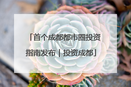 首个成都都市圈投资指南发布｜投资成都