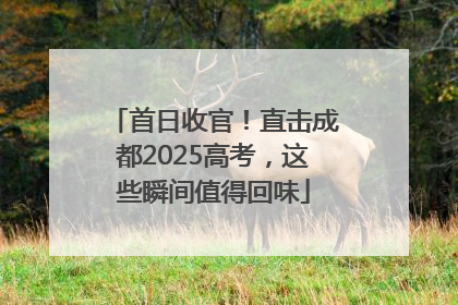首日收官！直击成都2025高考，这些瞬间值得回味