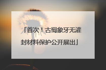 首次！古蜀象牙无灌封材料保护公开展出