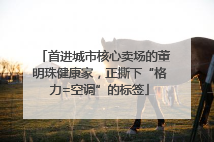 首进城市核心卖场的董明珠健康家，正撕下“格力=空调”的标签