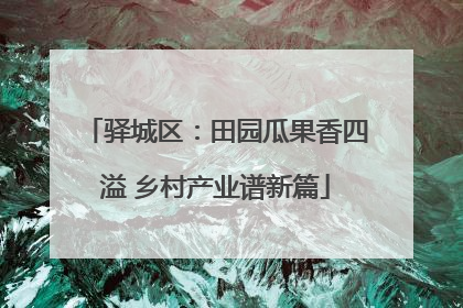 驿城区：田园瓜果香四溢 乡村产业谱新篇