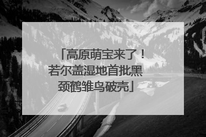 高原萌宝来了！若尔盖湿地首批黑颈鹤雏鸟破壳