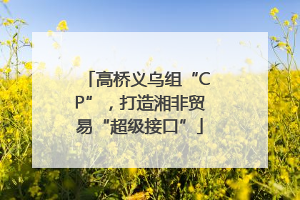 高桥义乌组“CP”，打造湘非贸易“超级接口”