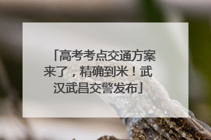 高考考点交通方案来了，精确到米！武汉武昌交警发布