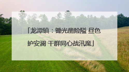 龙潭镇：锄光凿险隘 昼色护安澜 干群同心战汛魔