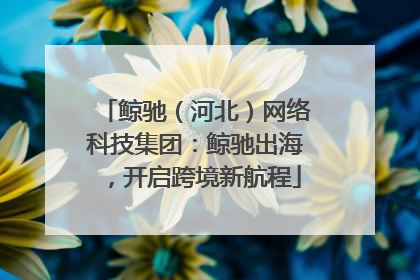 鲸驰（河北）网络科技集团：鲸驰出海，开启跨境新航程