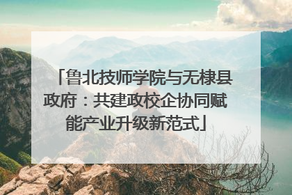 鲁北技师学院与无棣县政府：共建政校企协同赋能产业升级新范式