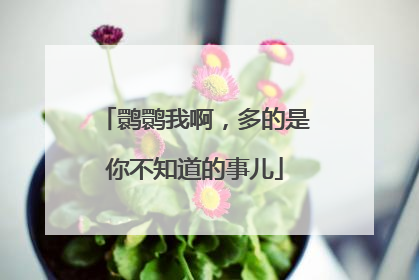 鹮鹮我啊，多的是你不知道的事儿