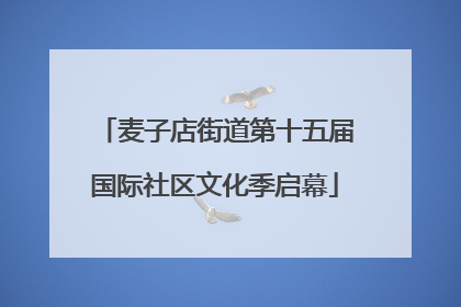 麦子店街道第十五届国际社区文化季启幕