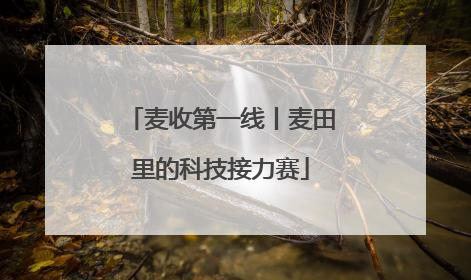 麦收第一线丨麦田里的科技接力赛