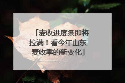 麦收进度条即将拉满！看今年山东麦收季的新变化