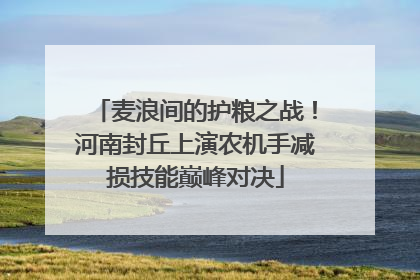 麦浪间的护粮之战！河南封丘上演农机手减损技能巅峰对决