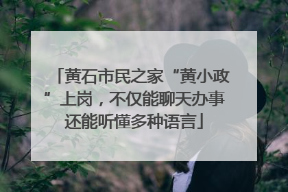 黄石市民之家“黄小政”上岗，不仅能聊天办事还能听懂多种语言