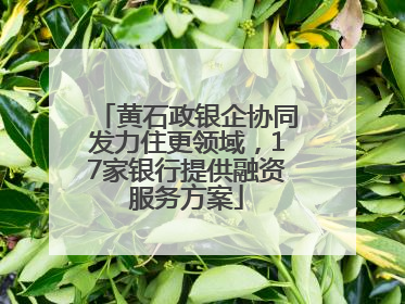黄石政银企协同发力住更领域，17家银行提供融资服务方案