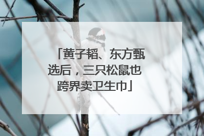 黄子韬、东方甄选后，三只松鼠也跨界卖卫生巾