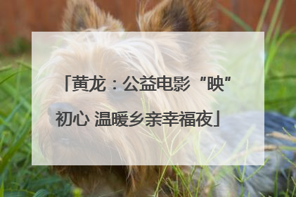 黄龙：公益电影“映”初心 温暖乡亲幸福夜