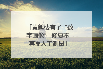黄鹤楼有了“数字画像” 修复不再靠人工测量