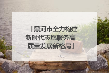 黑河市全力构建新时代志愿服务高质量发展新格局
