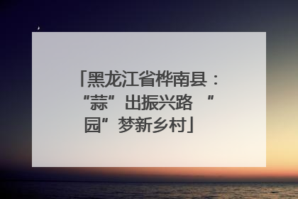 黑龙江省桦南县：“蒜”出振兴路 “园”梦新乡村