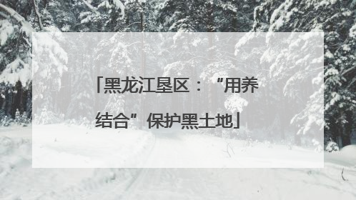 黑龙江垦区：“用养结合”保护黑土地