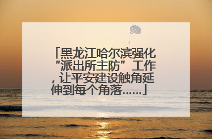 黑龙江哈尔滨强化“派出所主防”工作，让平安建设触角延伸到每个角落……