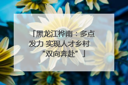 黑龙江桦南：多点发力 实现人才乡村“双向奔赴”