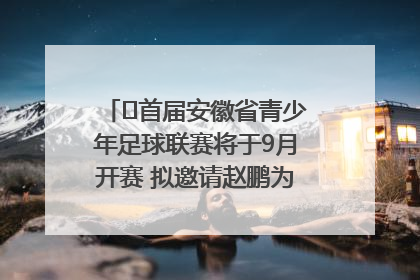 ﻿首届安徽省青少年足球联赛将于9月开赛 拟邀请赵鹏为先导赛开球