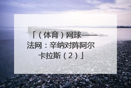 （体育）网球——法网：辛纳对阵阿尔卡拉斯（2）