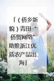 （侨乡新貌）青田“侨贸网络”助推浙江优质农产品出海