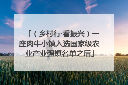 （乡村行·看振兴）一座肉牛小镇入选国家级农业产业强镇名单之后