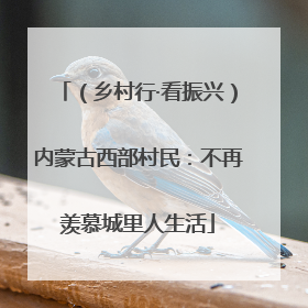 （乡村行·看振兴）内蒙古西部村民：不再羡慕城里人生活