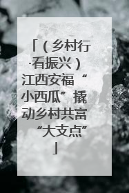 （乡村行·看振兴）江西安福“小西瓜”撬动乡村共富“大支点”