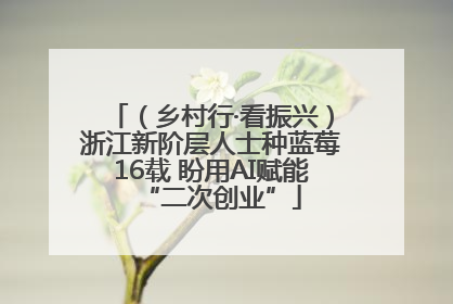 （乡村行·看振兴）浙江新阶层人士种蓝莓16载 盼用AI赋能“二次创业”