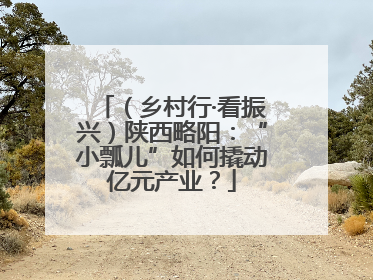 （乡村行·看振兴）陕西略阳：“小瓢儿”如何撬动亿元产业？