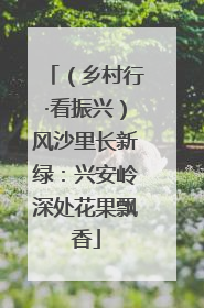 （乡村行·看振兴）风沙里长新绿：兴安岭深处花果飘香