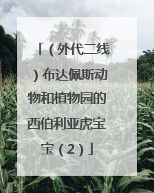 （外代二线）布达佩斯动物和植物园的西伯利亚虎宝宝（2）