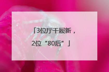 3位厅干履新，2位“80后”