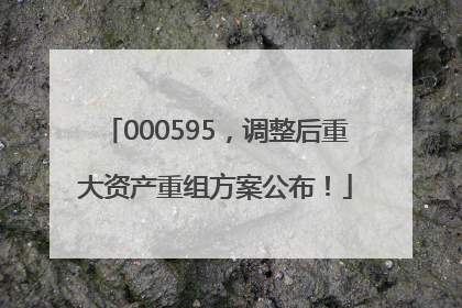 000595，调整后重大资产重组方案公布！