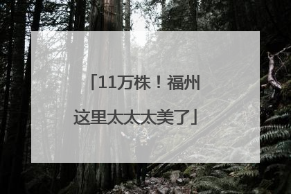 11万株！福州这里太太太美了