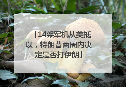 14架军机从美抵以，特朗普两周内决定是否打伊朗