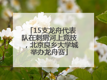 15支龙舟代表队在刺猬河上竞技，北京良乡大学城举办龙舟赛