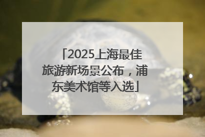 2025上海最佳旅游新场景公布，浦东美术馆等入选